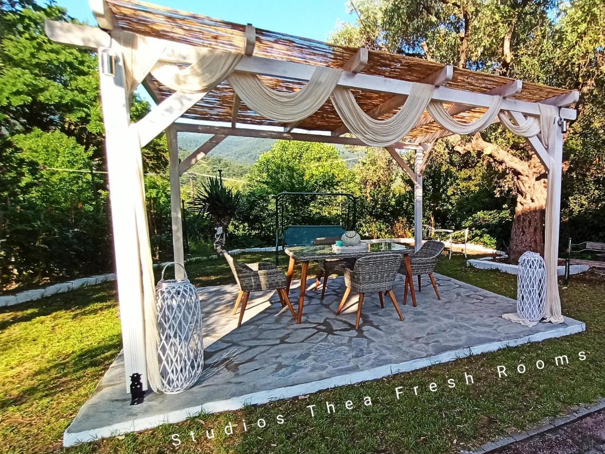 Studios Thea Fresh Rooms Thassos Esterno foto