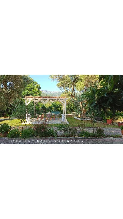 Studios Thea Fresh Rooms Thassos Esterno foto