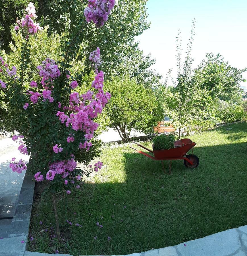 Studios Thea Fresh Rooms Thassos Esterno foto