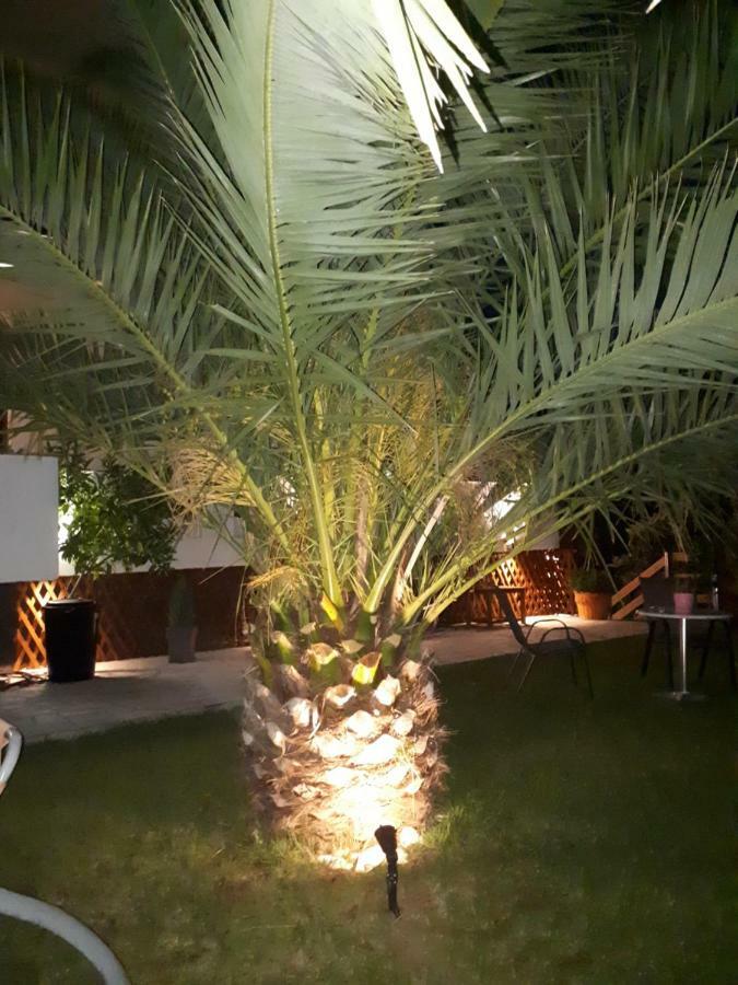 Studios Thea Fresh Rooms Thassos Esterno foto